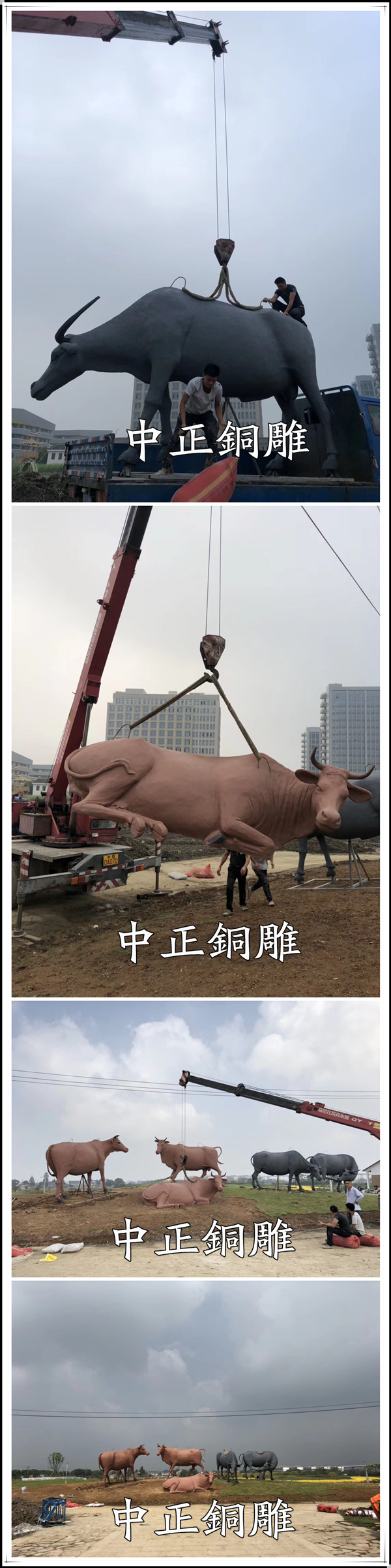微信圖片_20190403152752.jpg